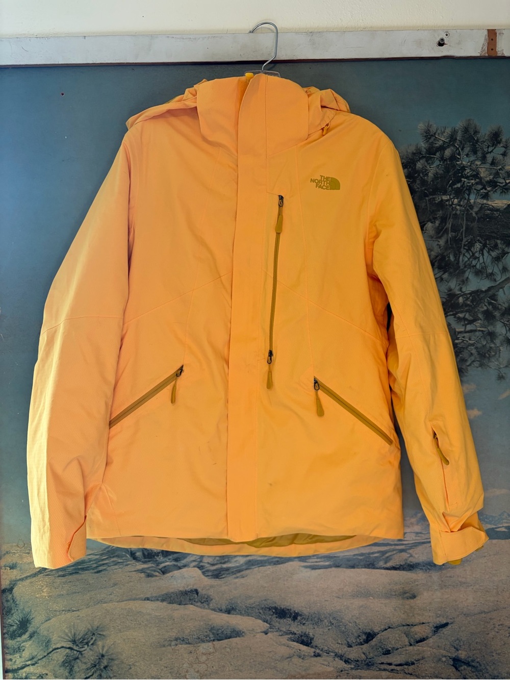 The North Face Women’s Ski Jacket